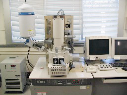 走査型電子顕微鏡(SEM)
